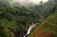 Eravikulam National Park